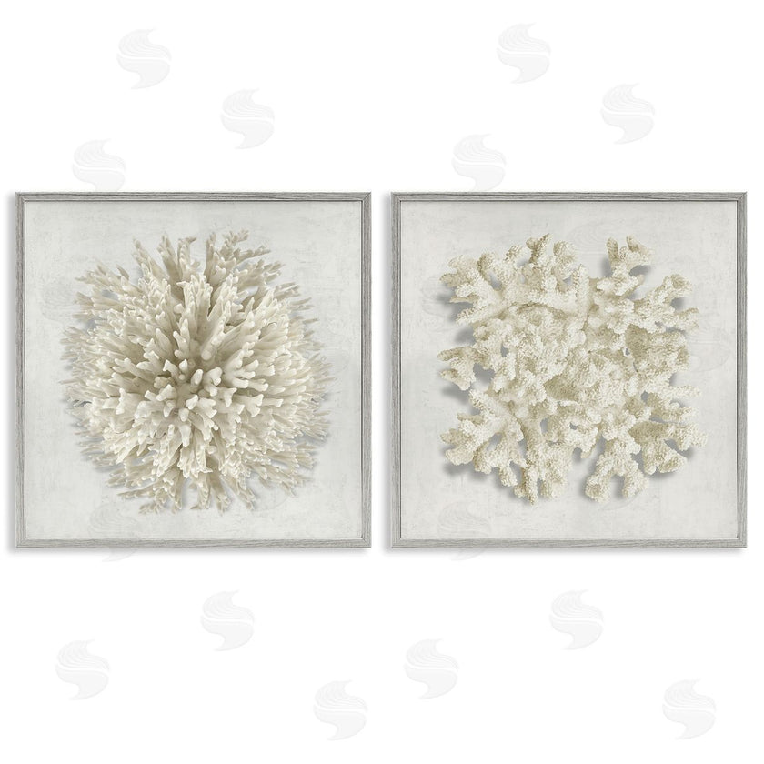 Caroline Kelly | Distinct Natural Coral