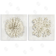 Caroline Kelly | Distinct Natural Coral