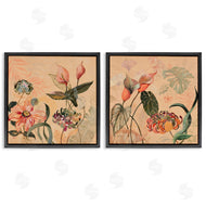 Dusza | Elegant Flower Organics