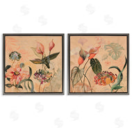 Dusza | Elegant Flower Organics