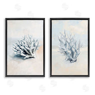 Ramona Murdock | Faded White Coral Branches