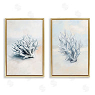 Ramona Murdock | Faded White Coral Branches