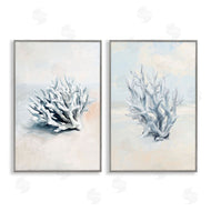 Ramona Murdock | Faded White Coral Branches