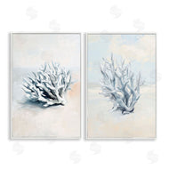Ramona Murdock | Faded White Coral Branches