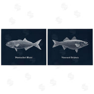 Phillipa Katz | Harbor Fish Phrases