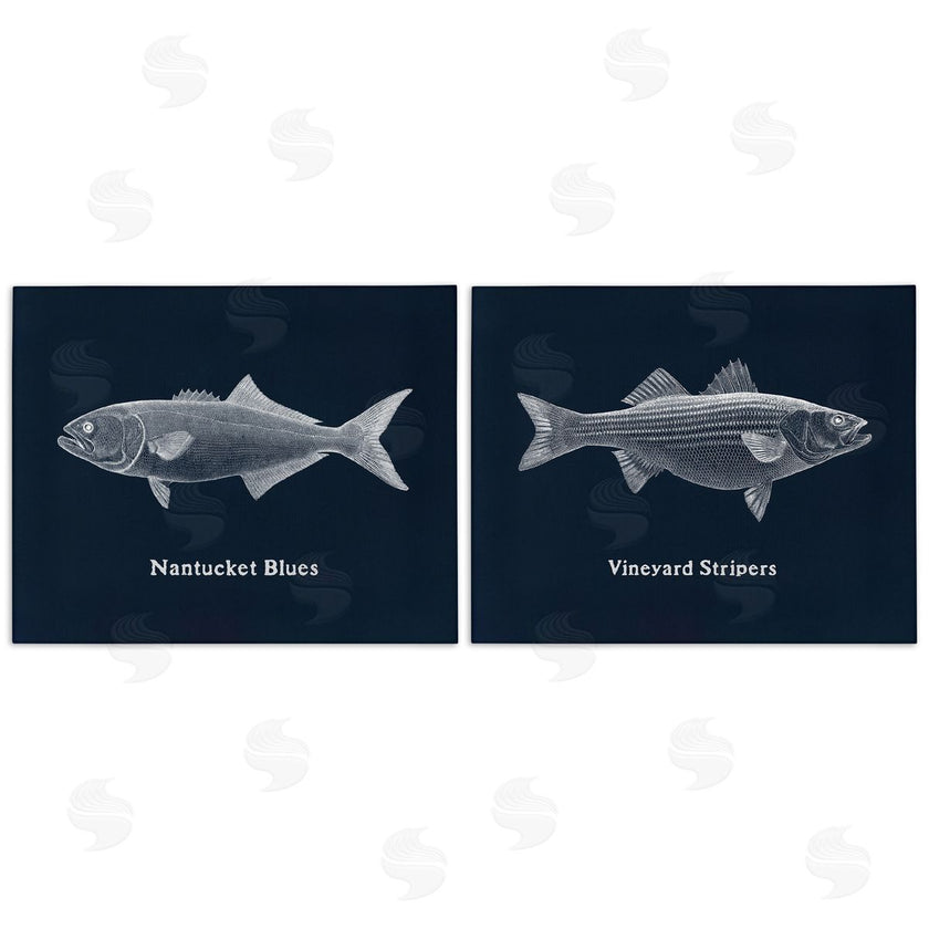 Phillipa Katz | Harbor Fish Phrases