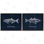 Phillipa Katz | Harbor Fish Phrases