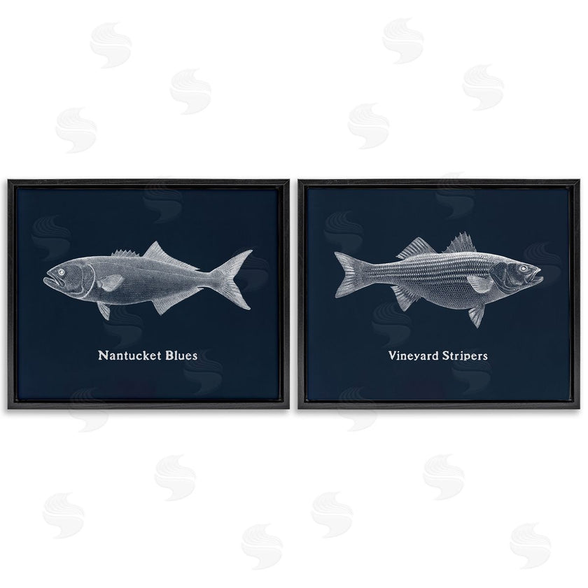 Phillipa Katz | Harbor Fish Phrases