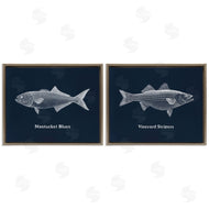 Phillipa Katz | Harbor Fish Phrases