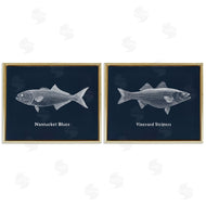 Phillipa Katz | Harbor Fish Phrases