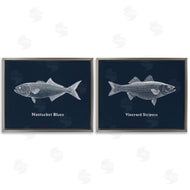 Phillipa Katz | Harbor Fish Phrases
