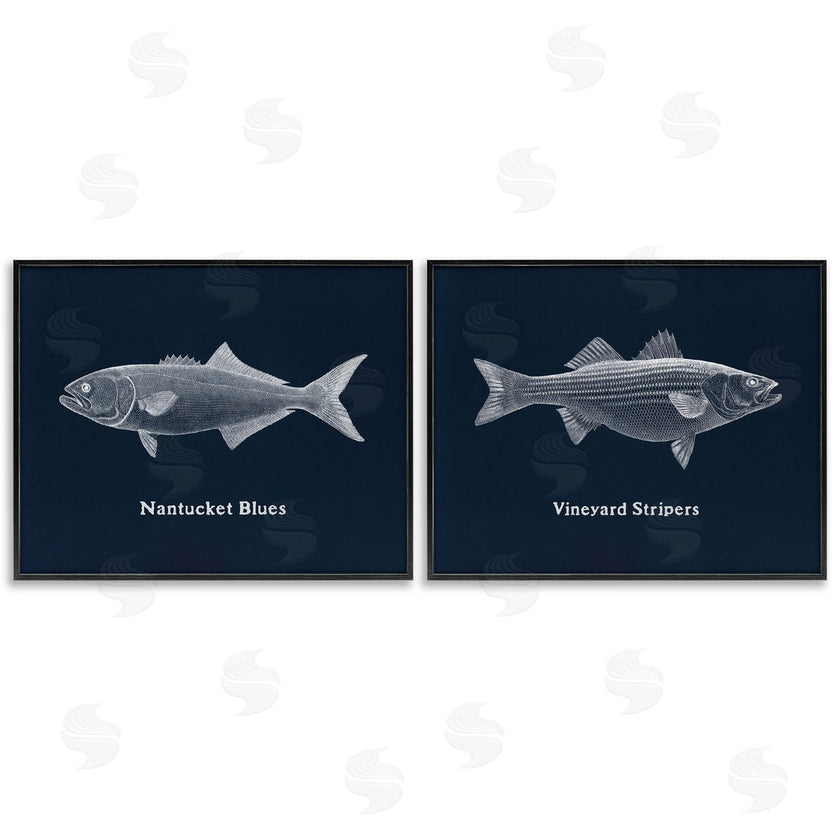 Phillipa Katz | Harbor Fish Phrases