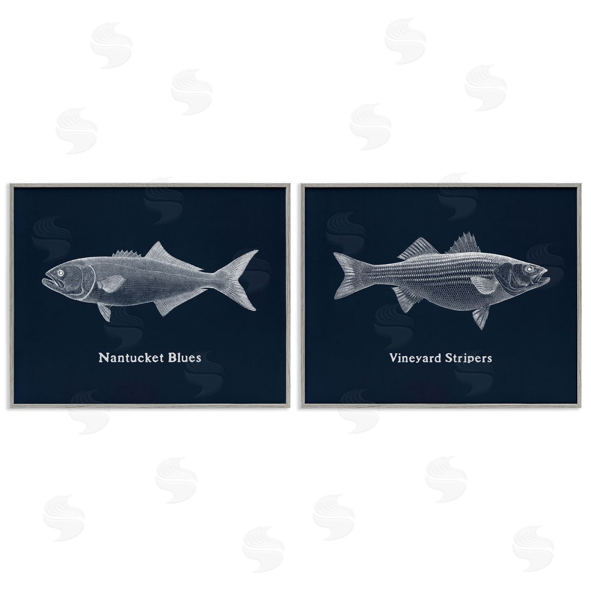 Harbor Fish Phrases Grey Frame Print Wall Art, Home Decor by Phillipa Katz
