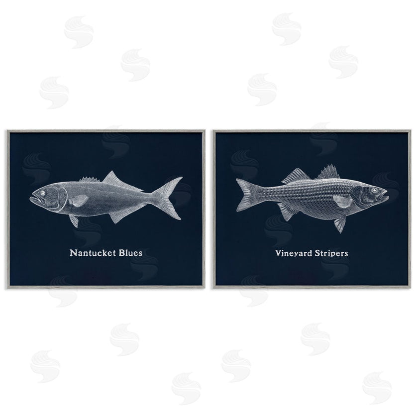 Phillipa Katz | Harbor Fish Phrases