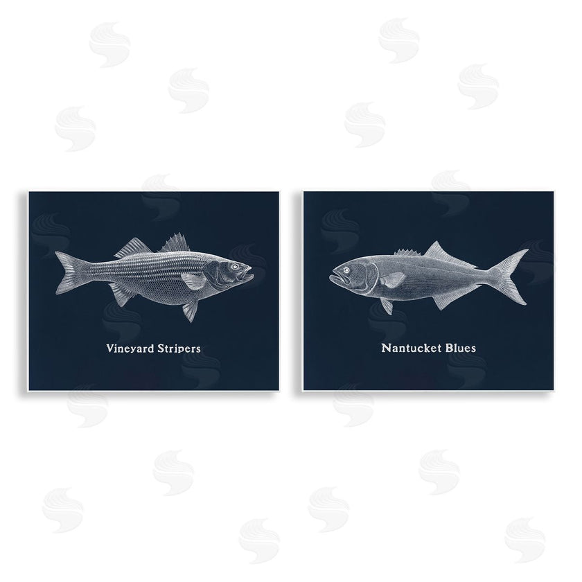 Phillipa Katz | Harbor Fish Phrases