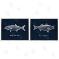 Phillipa Katz | Harbor Fish Phrases