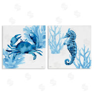 Cat Thurman Designs | Crab & Seahorse Abstractions