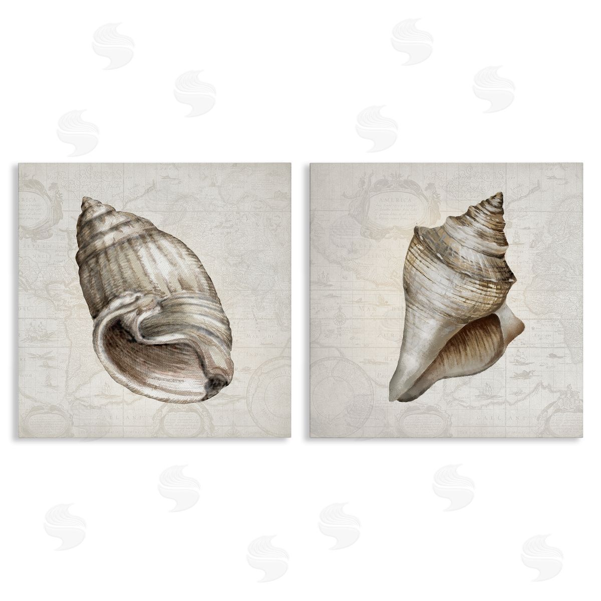 Conrad Knutsen | Conch Shells over Vintage Maps