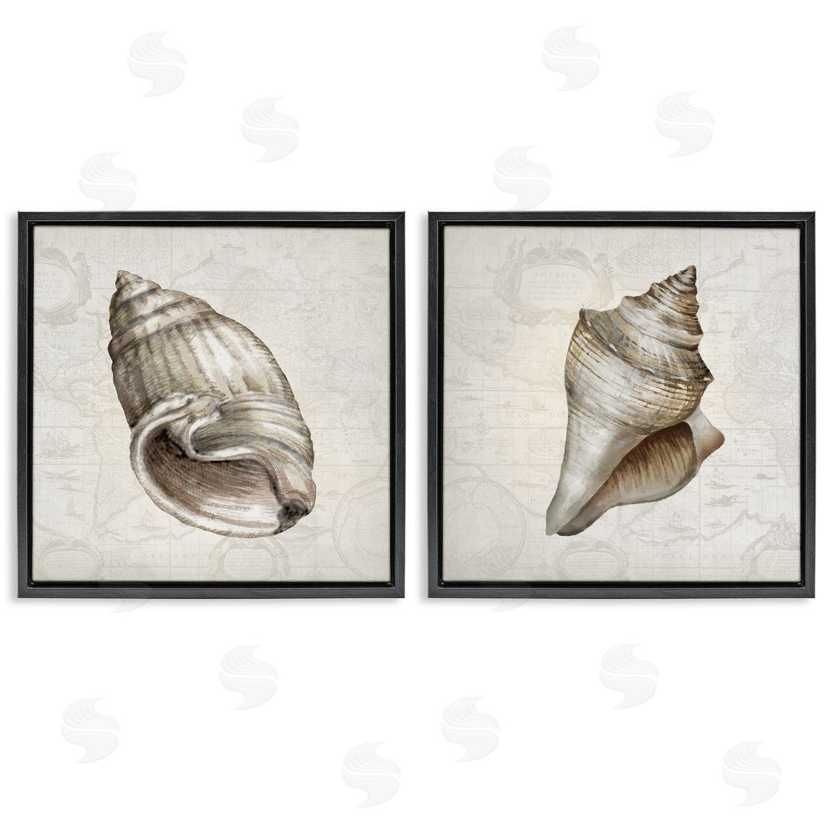 Conrad Knutsen | Conch Shells over Vintage Maps