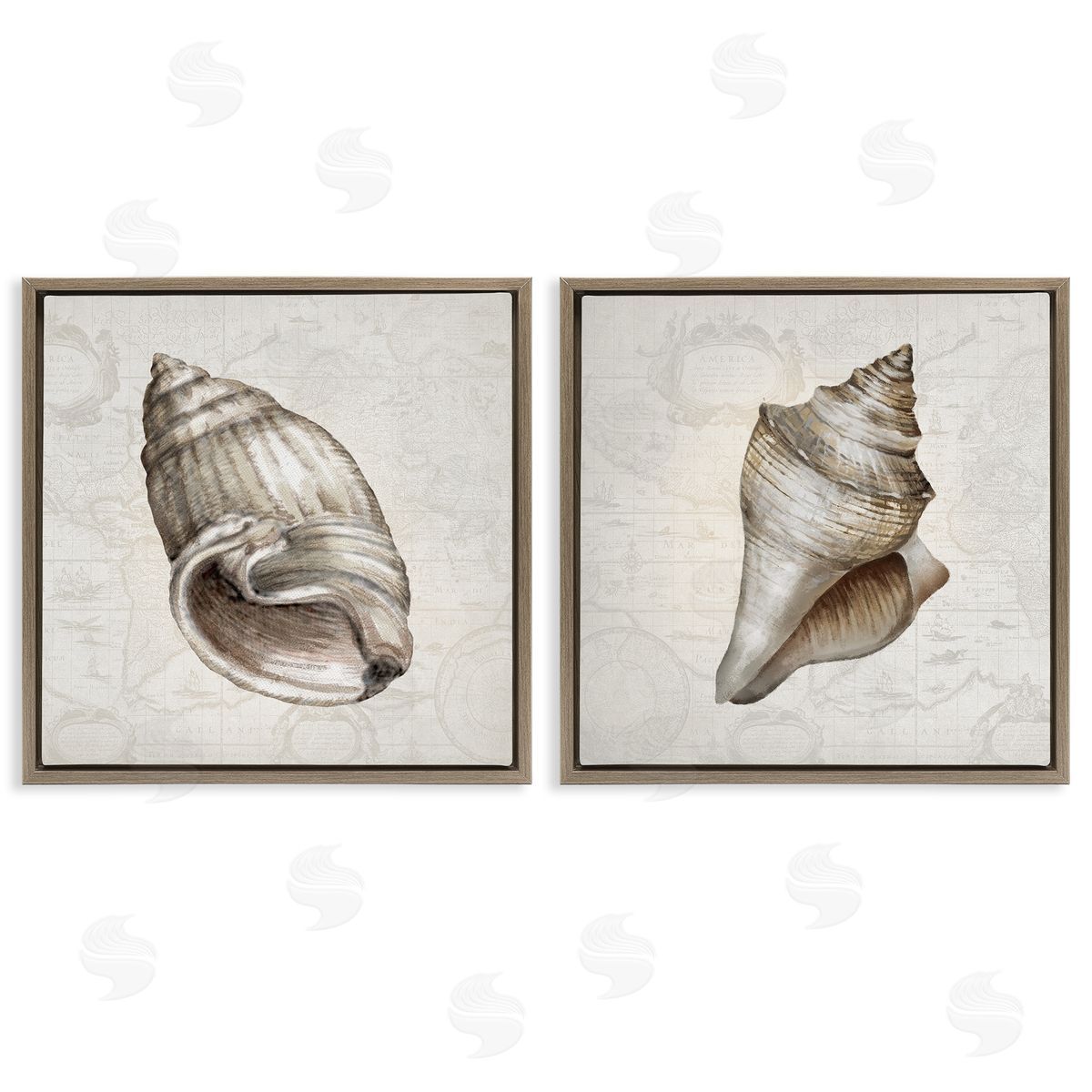 Conrad Knutsen | Conch Shells over Vintage Maps