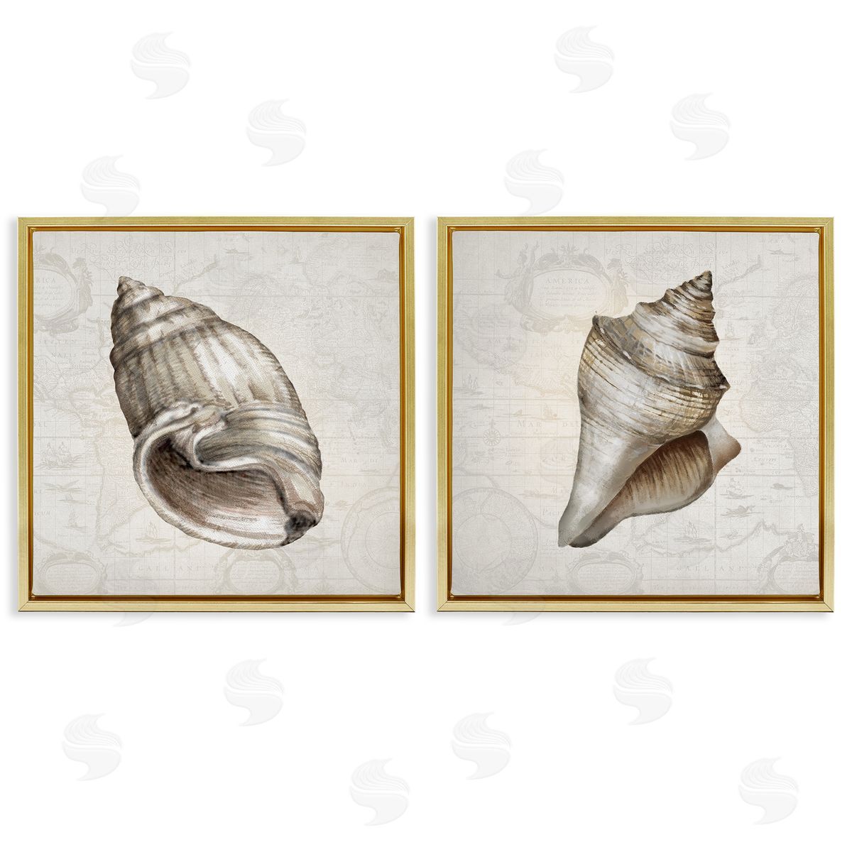 Conrad Knutsen | Conch Shells over Vintage Maps
