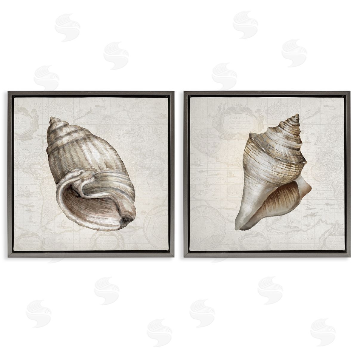 Conrad Knutsen | Conch Shells over Vintage Maps