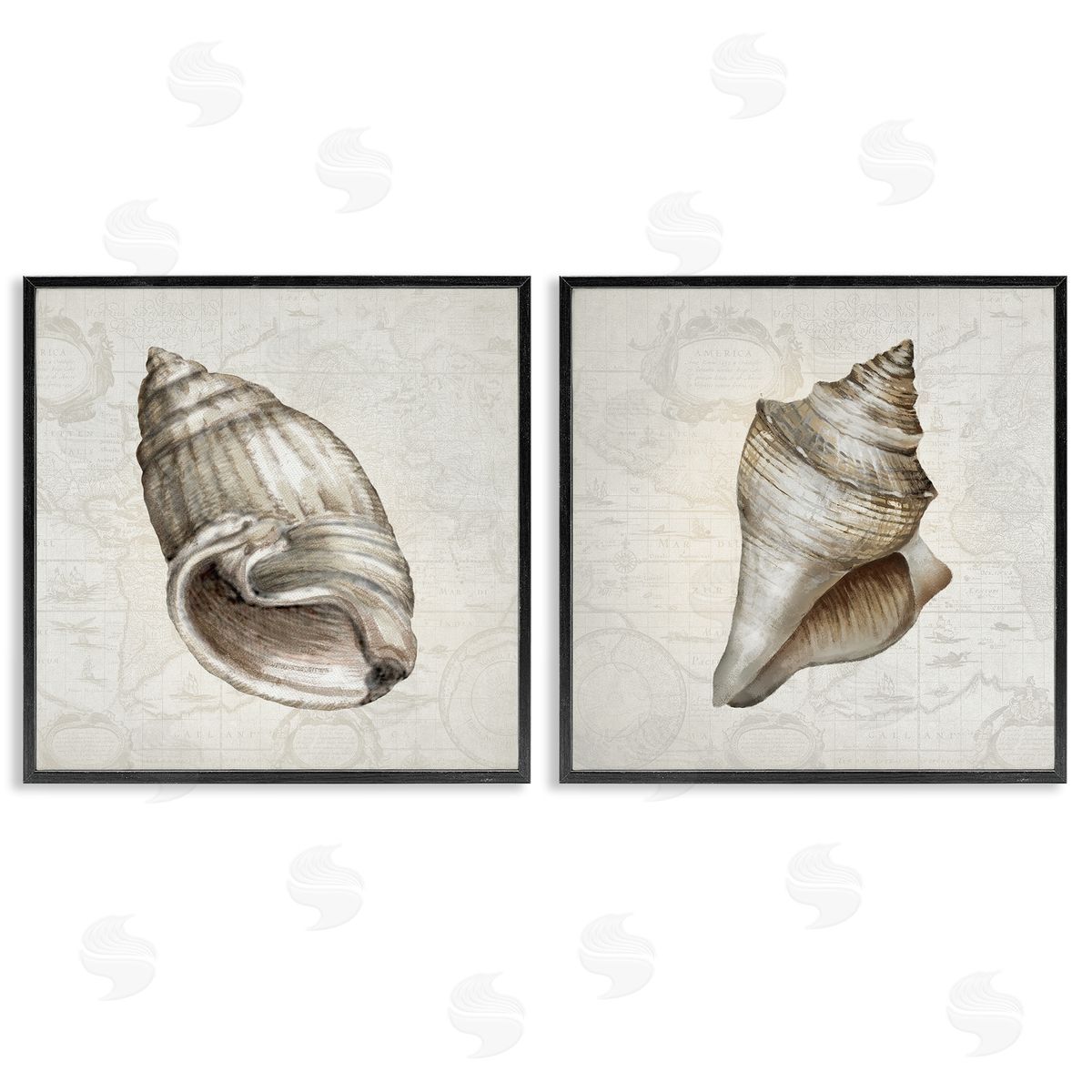 Conrad Knutsen | Conch Shells over Vintage Maps