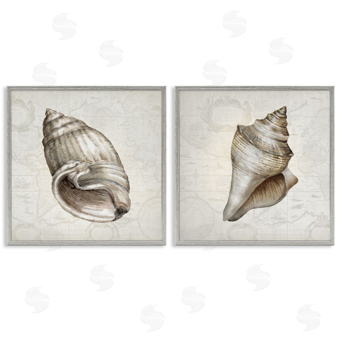 Conrad Knutsen | Conch Shells over Vintage Maps