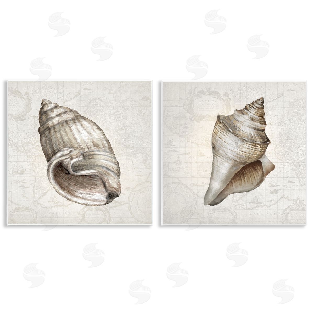 Conrad Knutsen | Conch Shells over Vintage Maps