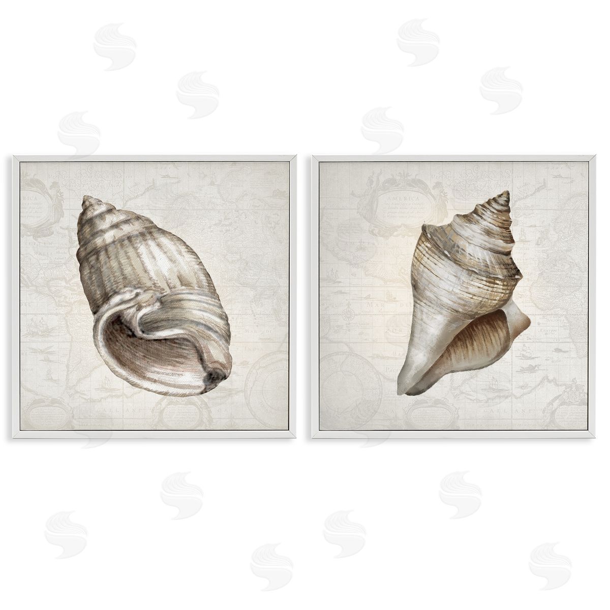 Conrad Knutsen | Conch Shells over Vintage Maps