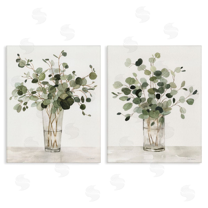 Carol Robinson | Eucalyptus Herb Vases