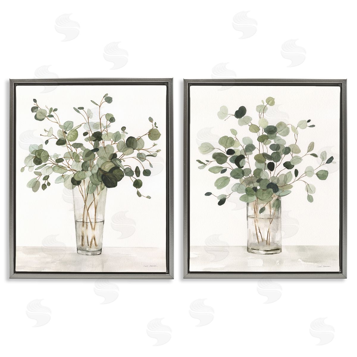 Carol Robinson | Eucalyptus Herb Vases