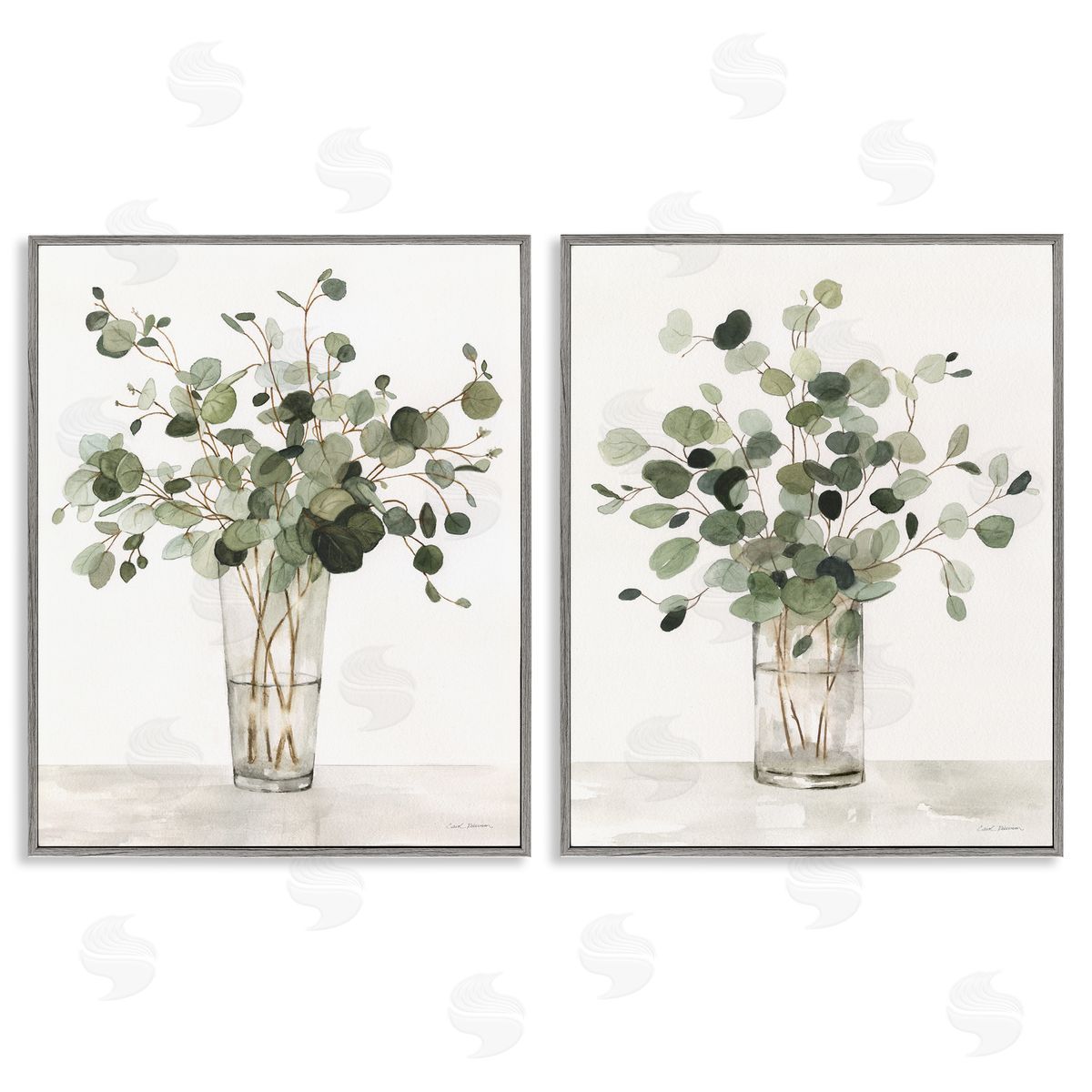 Carol Robinson | Eucalyptus Herb Vases