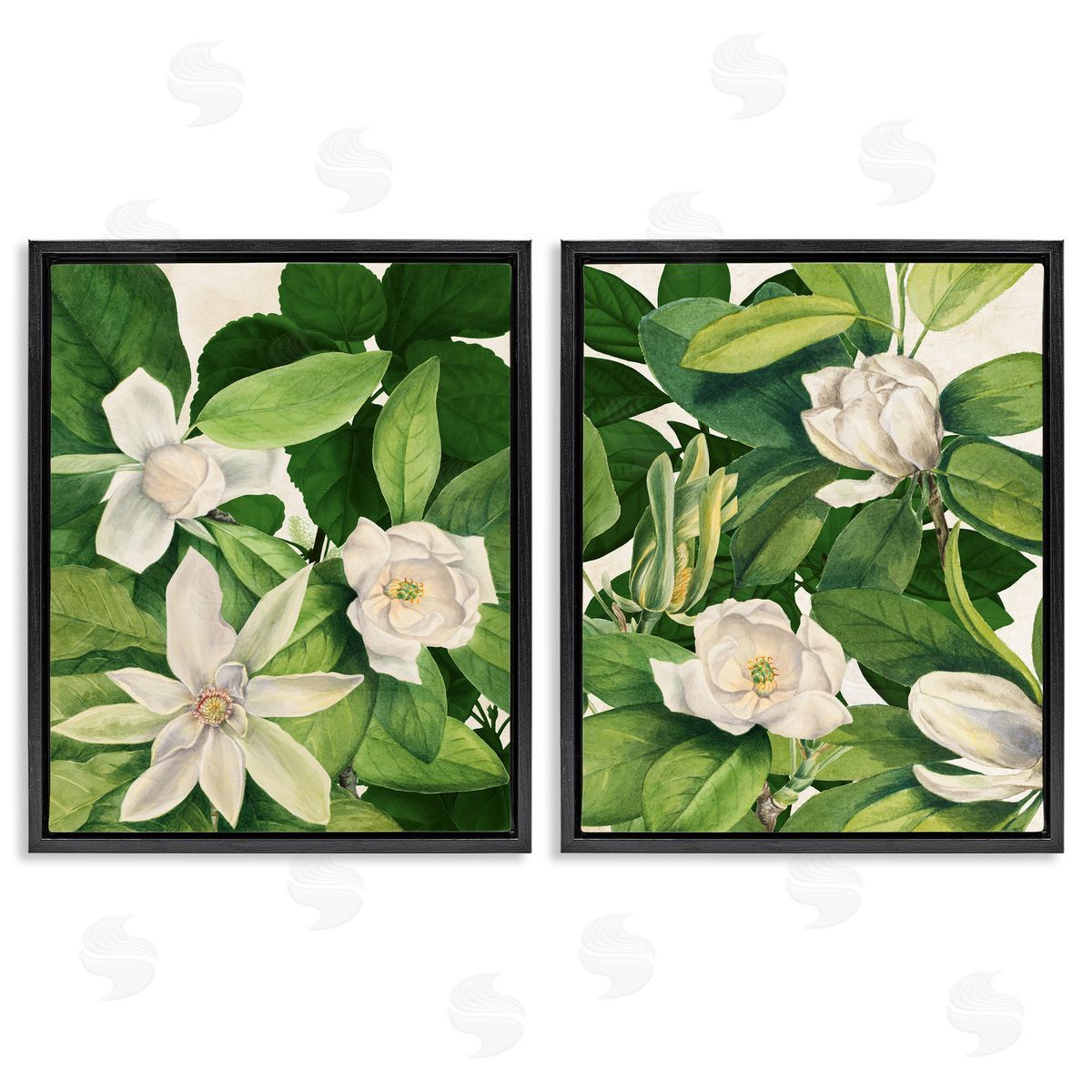 Susan Arnot | Traditional White Lilies with Leaves