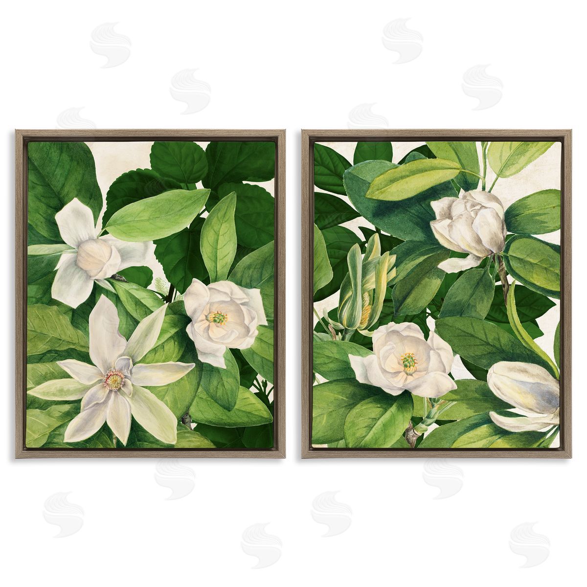 Susan Arnot | Traditional White Lilies with Leaves