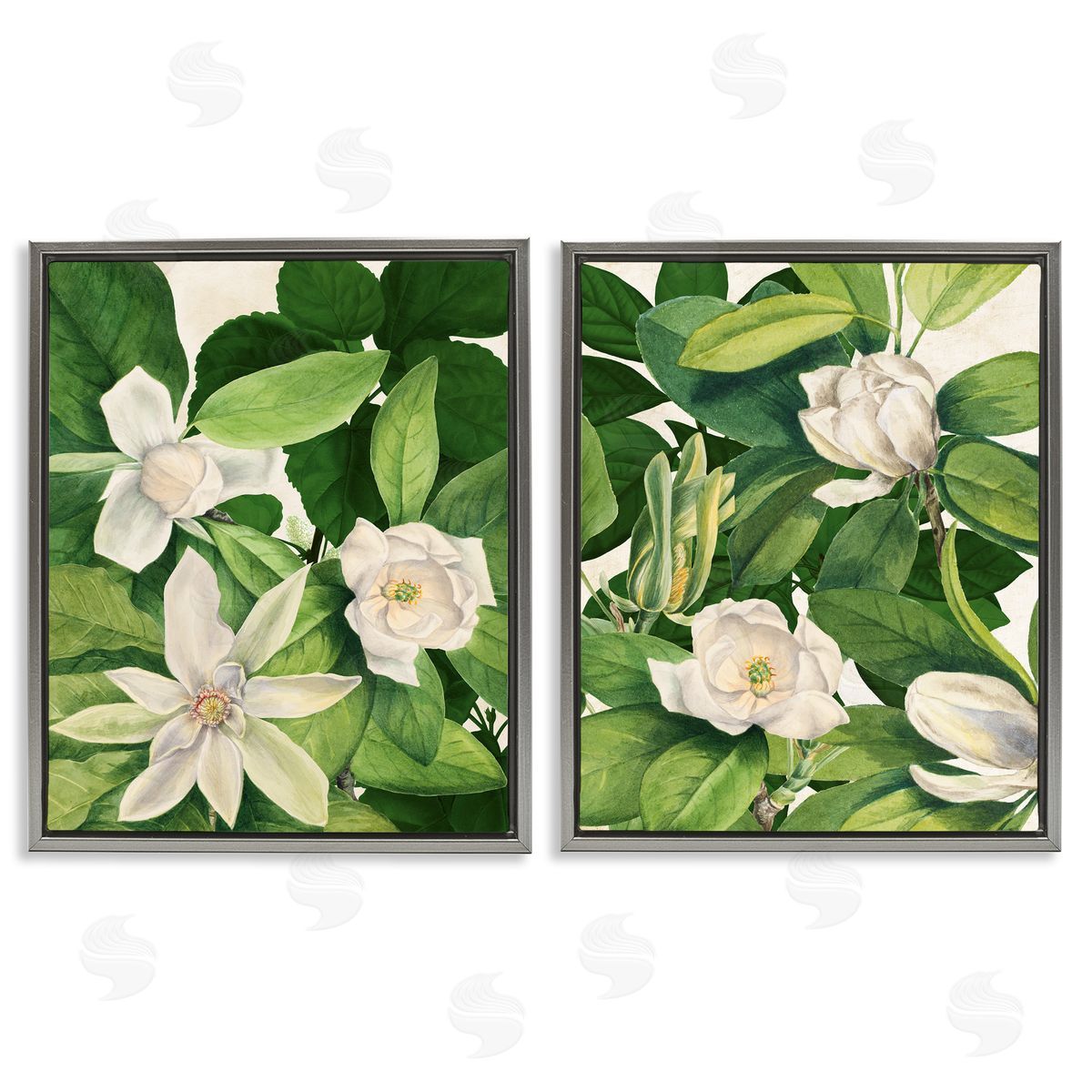 Susan Arnot | Traditional White Lilies with Leaves