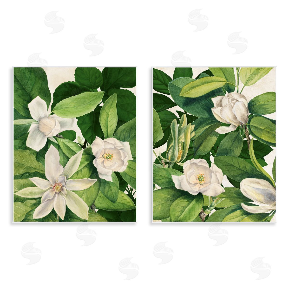 Susan Arnot | Traditional White Lilies with Leaves