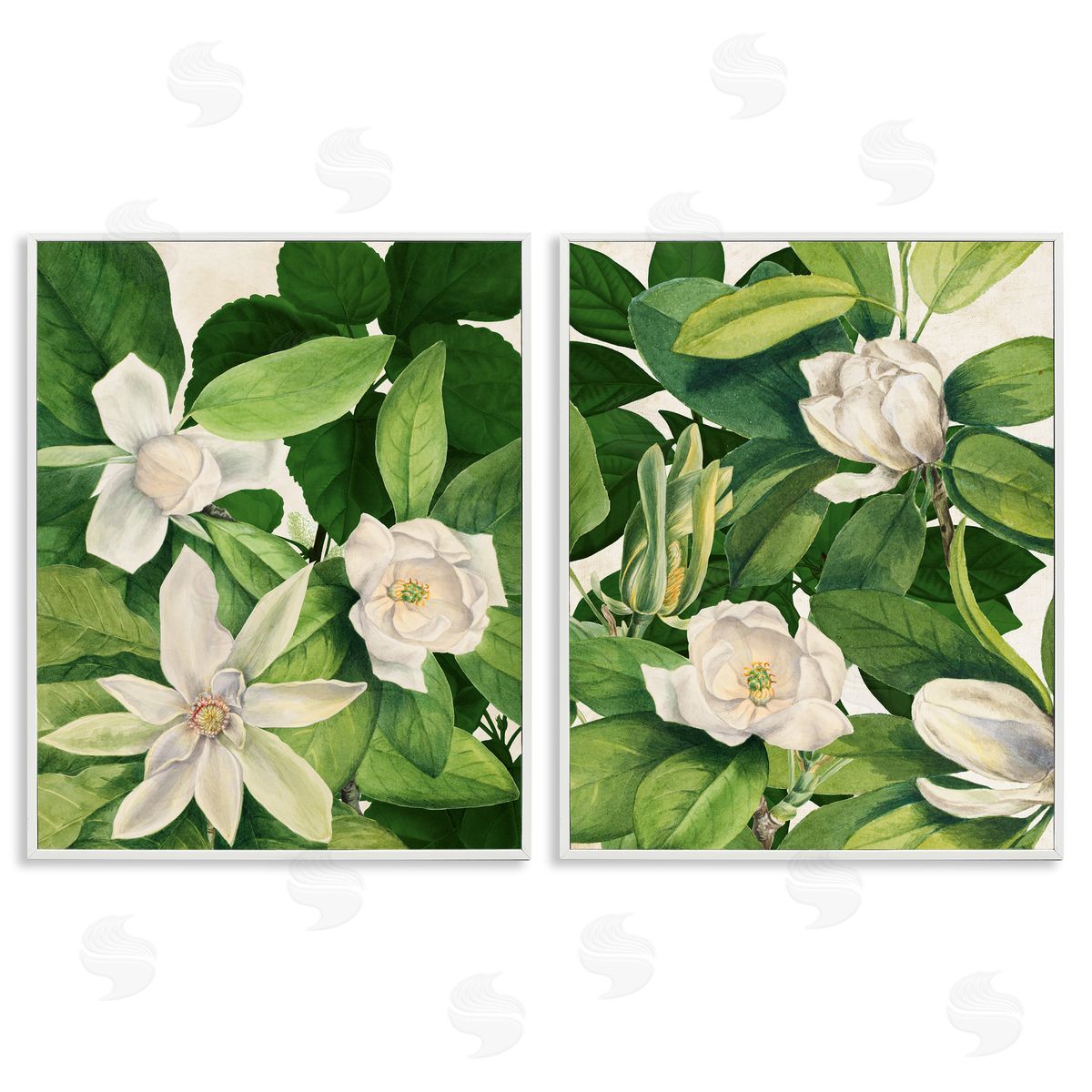 Susan Arnot | Traditional White Lilies with Leaves