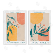 Becky Thorns | Botanicals over Geometrics