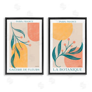 Becky Thorns | Botanicals over Geometrics