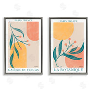 Becky Thorns | Botanicals over Geometrics