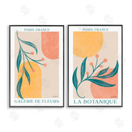 Becky Thorns | Botanicals over Geometrics