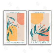Becky Thorns | Botanicals over Geometrics