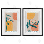 Becky Thorns | Botanicals over Geometrics