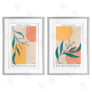 Becky Thorns | Botanicals over Geometrics