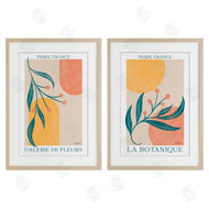 Becky Thorns | Botanicals over Geometrics
