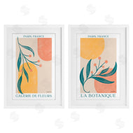 Becky Thorns | Botanicals over Geometrics