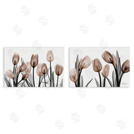 Albert Koetsier | Translucent Tulips in Mocha