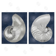 Caroline Kelly | Nautilus Spiral Shells on Blue