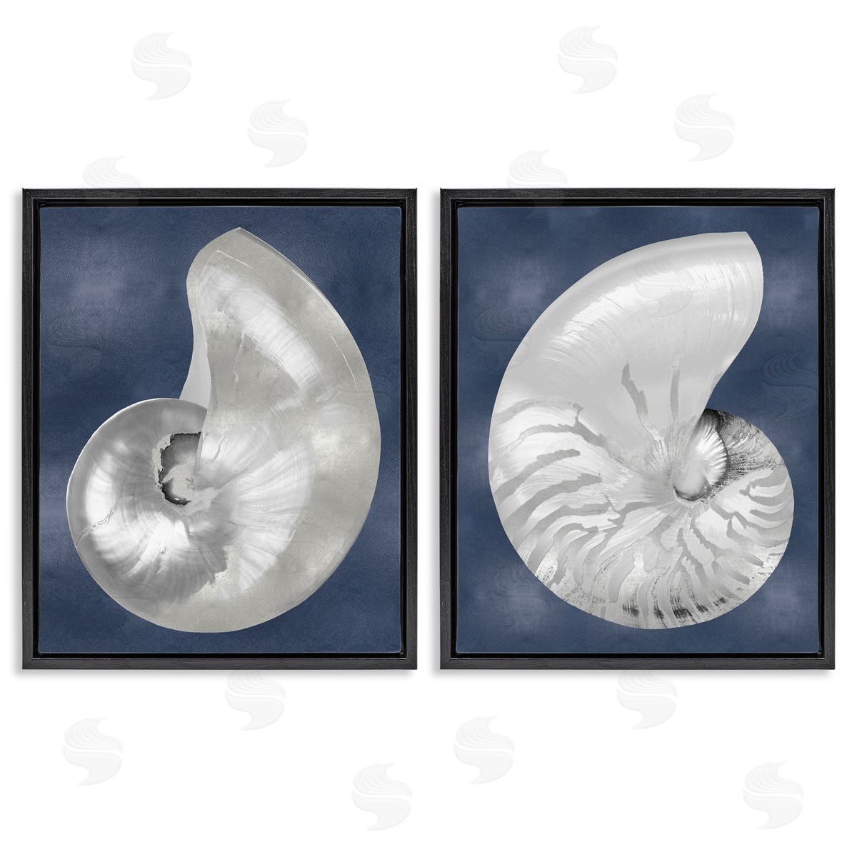 Caroline Kelly | Nautilus Spiral Shells on Blue